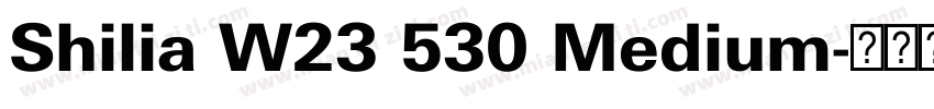 Shilia W23 530 Medium字体转换